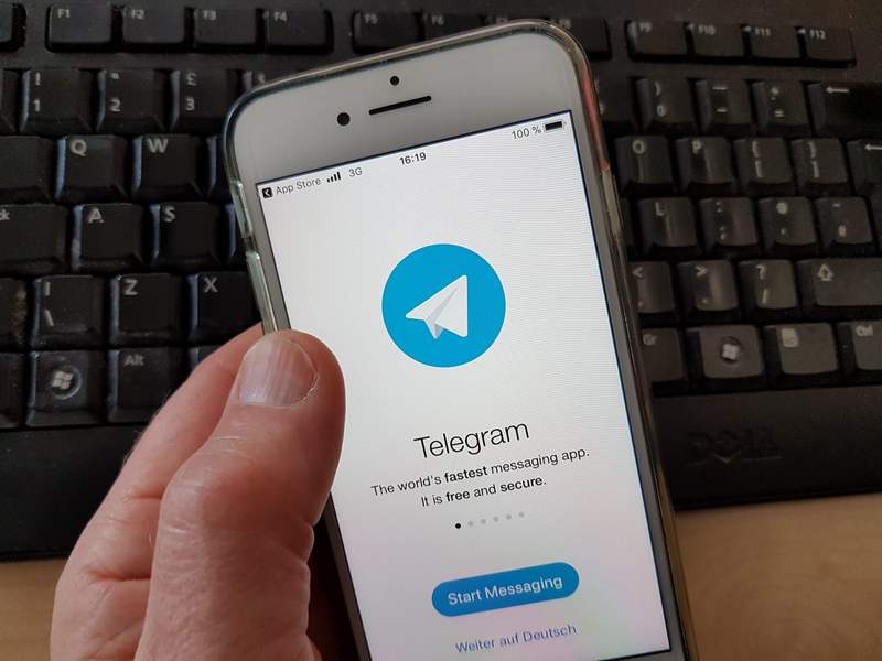 Telegram обязали назначить представителя в ФРГ из-за COVID-диссидентов