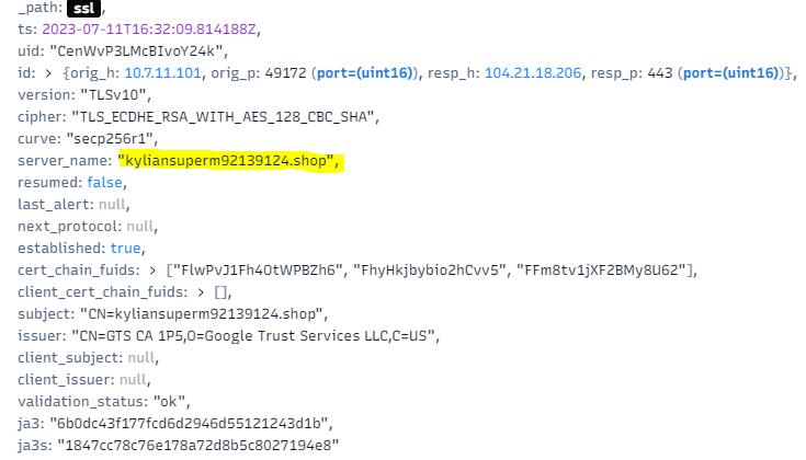 Рисунок 5. Метаданные TLS сессии с фильтром по IP адресу