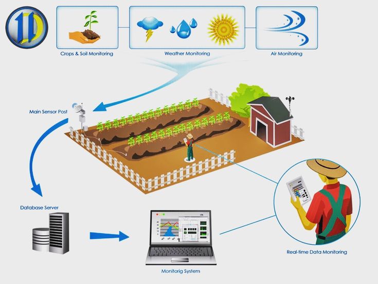 Общая схема работы IoT на отдельно взятом фермерском участке