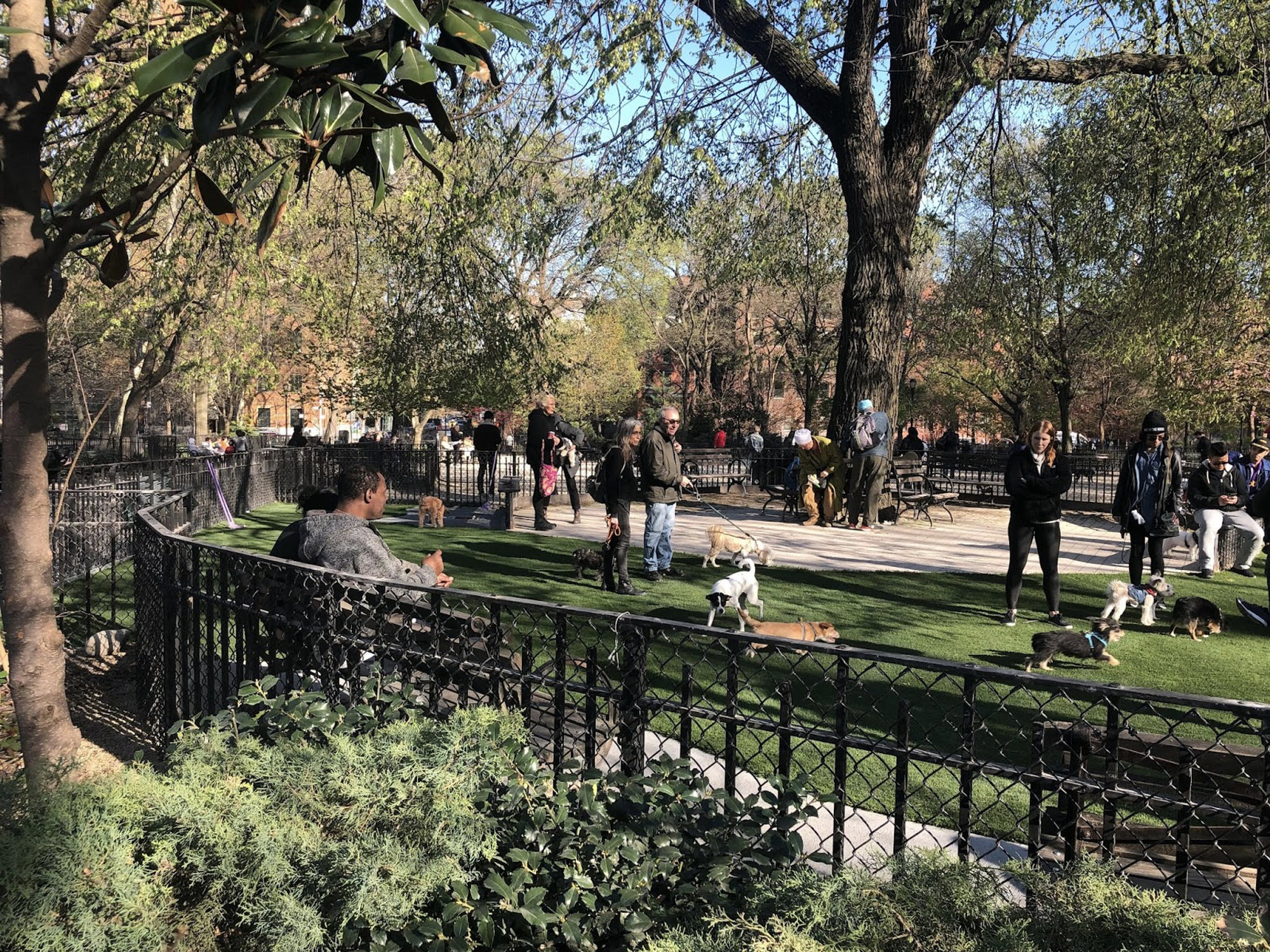Парк Фёрст Раннер Дог (Tompkins Square Dog Run) в Нью-Йорке