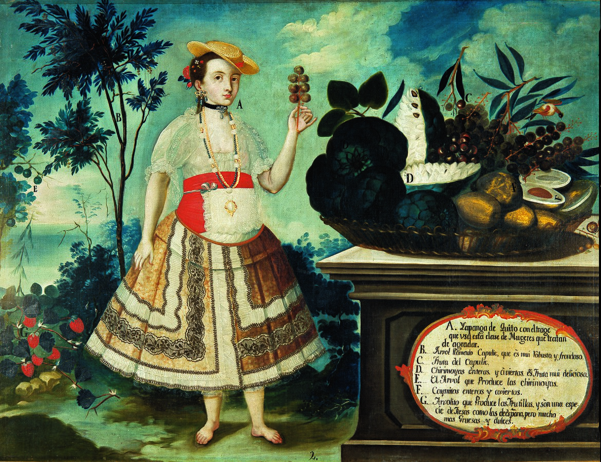 На картине Висенте Альбана (1773, музей Америки, Мадрид) представлены все дары природы: чиримойя (D), клубника, авокадо, капуле (местные ягоды) и прекрасная Япанга в наряде, какой "носят эти женщины, доставляющие удовольствия".

