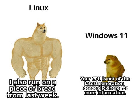 Big dog = Linux. Says, “I also run on a piece of break from last week.” Small dog = Windows 11. Says, “Your CPU is not of the latest generation. Please click here for more information.”