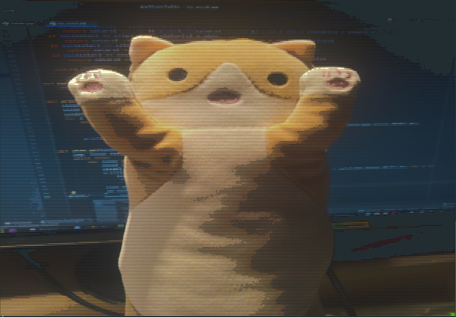 my plush toy on the background of the monitor, the image in the console