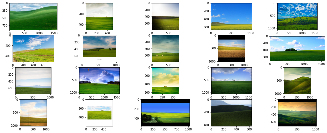 "a picture of a windows xp wallpaper"