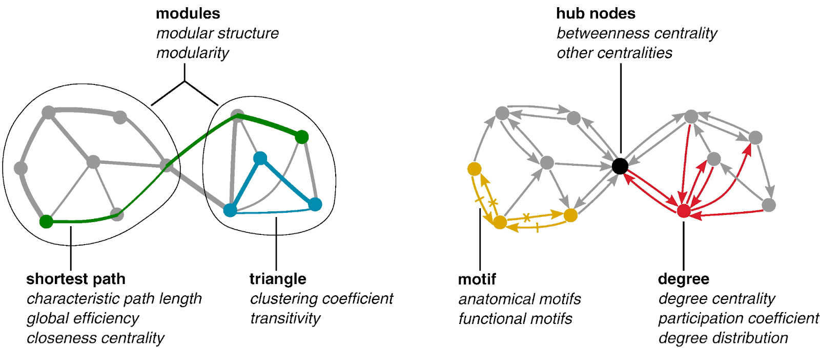 Показатели сетевой топологии, основанные на базовых свойствах сетевой соединяемости