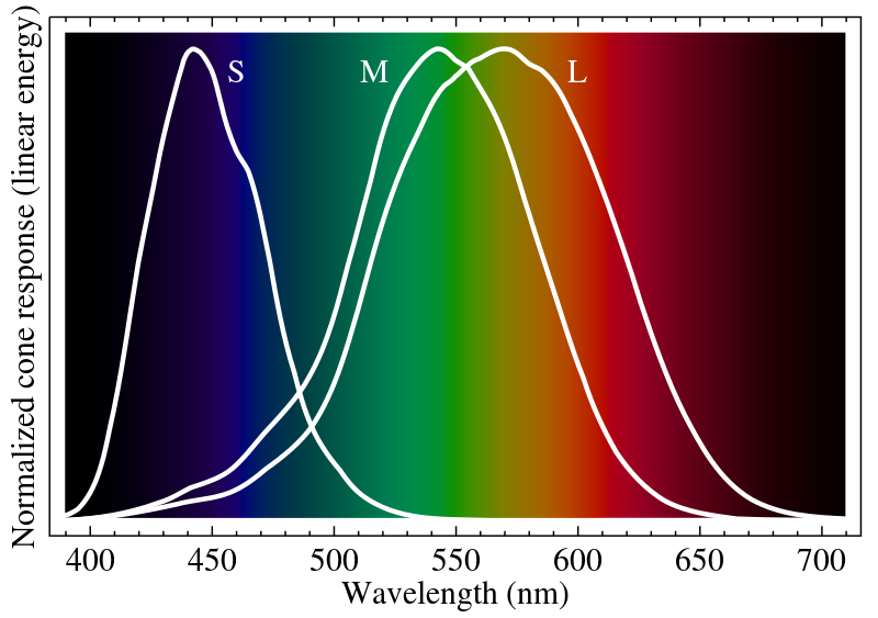 Нормально распределённые спектры реакции колбочек человека на монохроматические спектральные стимулы с длиной волны, указанной в нанометрах.(источник: https://en.wikipedia.org/wiki/Color_vision)