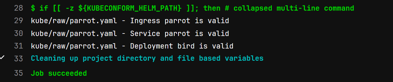 Вывод kubeconform после валидации манифеста parrot.yaml