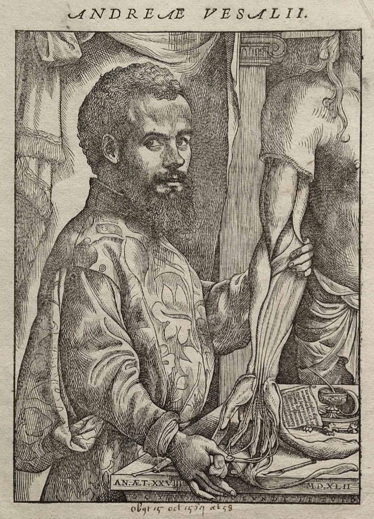 Андреас Везалий 31.12.1514 — 15.10.1564