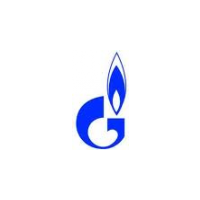 Логотип компании «Саратовская газовая компания»