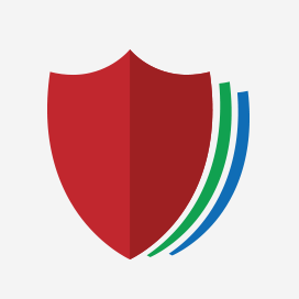Логотип компании «Digital Security»