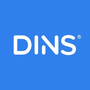 Логотип компании «DINS»