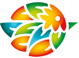 Логотип компании «Octobird»