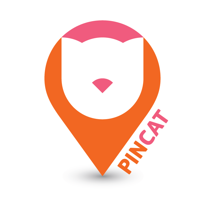 Логотип компании «PINCAT»