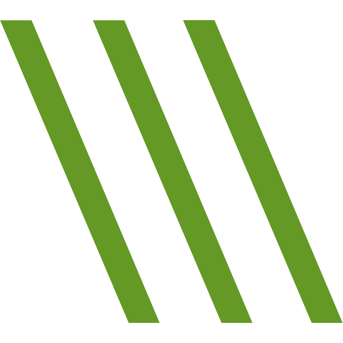 Логотип компании «SlideSpiel»