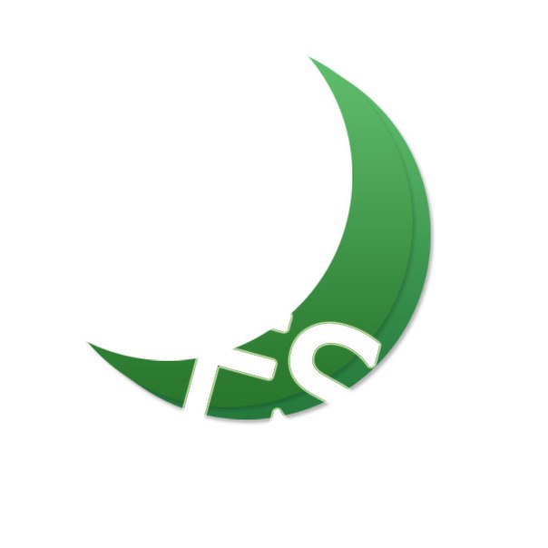 Логотип компании «FreeShards»