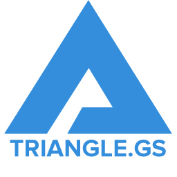 Логотип компании «Triangle.gs»