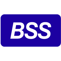 Логотип компании «BSS»