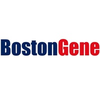 Логотип компании «BostonGene»