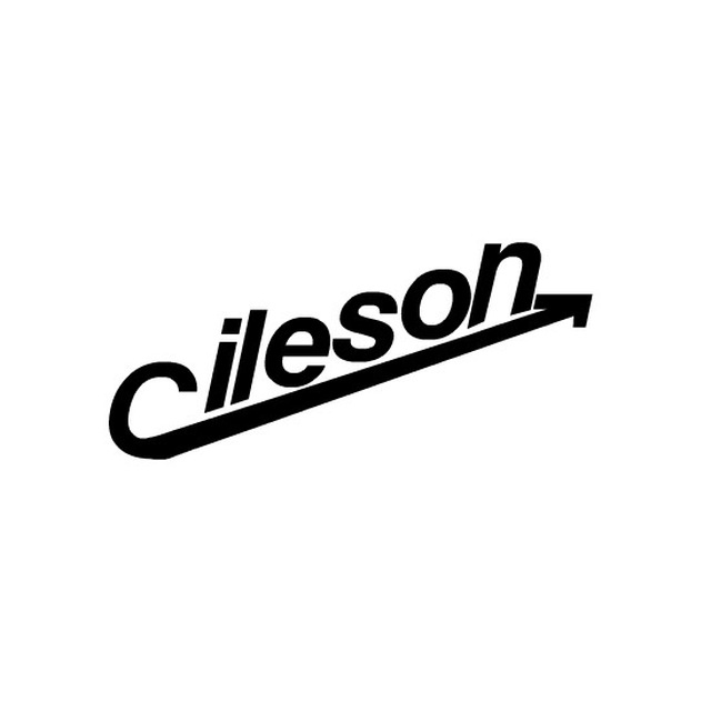 Логотип компании «Gileson»