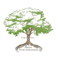 Логотип компании «Intelligent Matters»