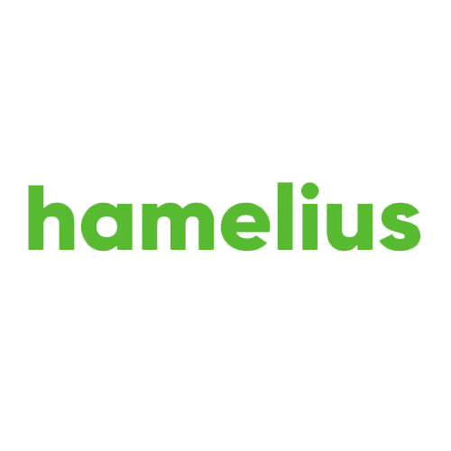 Логотип компании «Hamelius»