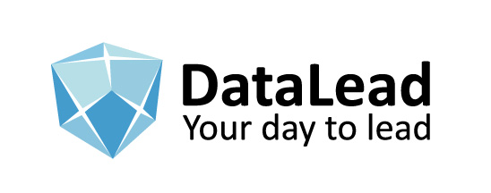 Логотип компании «DataLead»