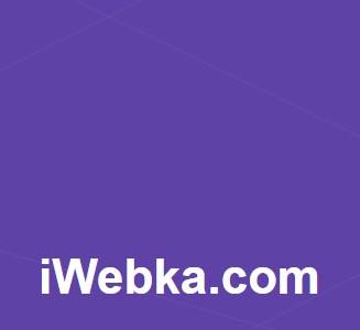 Логотип компании «iWebka.com»