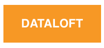 Логотип компании «Dataloft»
