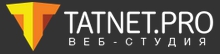 Логотип компании «TATNET.PRO»