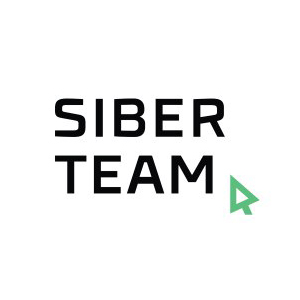 Логотип компании «Siberteam»
