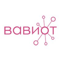 Логотип компании «Вавиот»