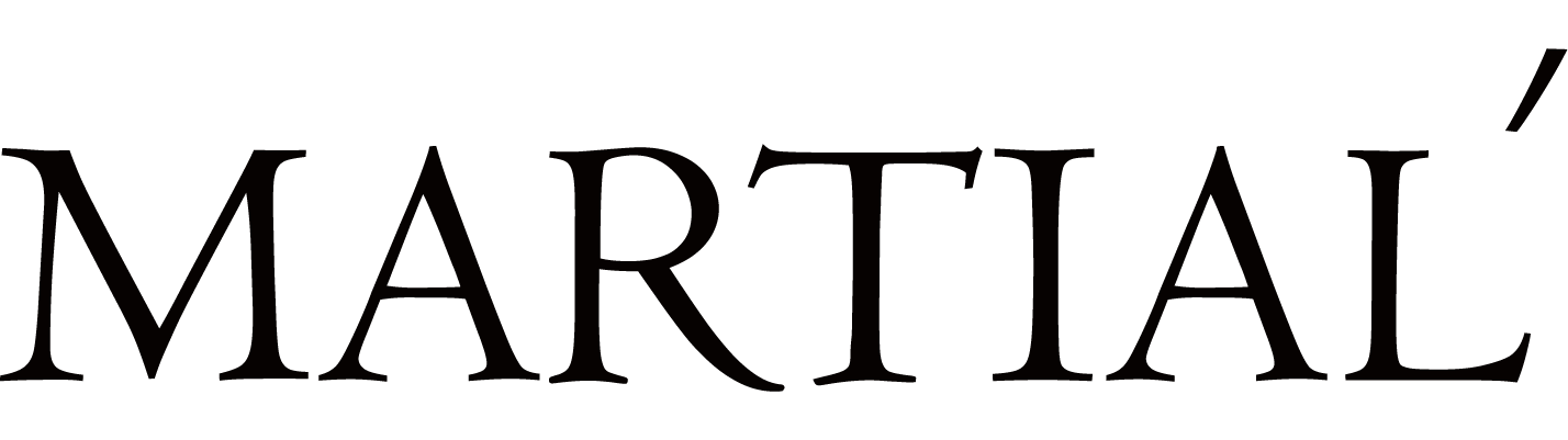 Логотип компании «Martial' holding»