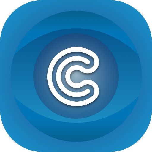Логотип компании «Connect Software»