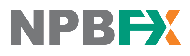 Логотип компании «NPBFX»