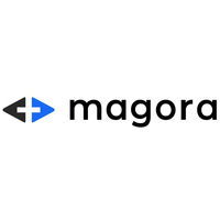 Логотип компании «Magora»