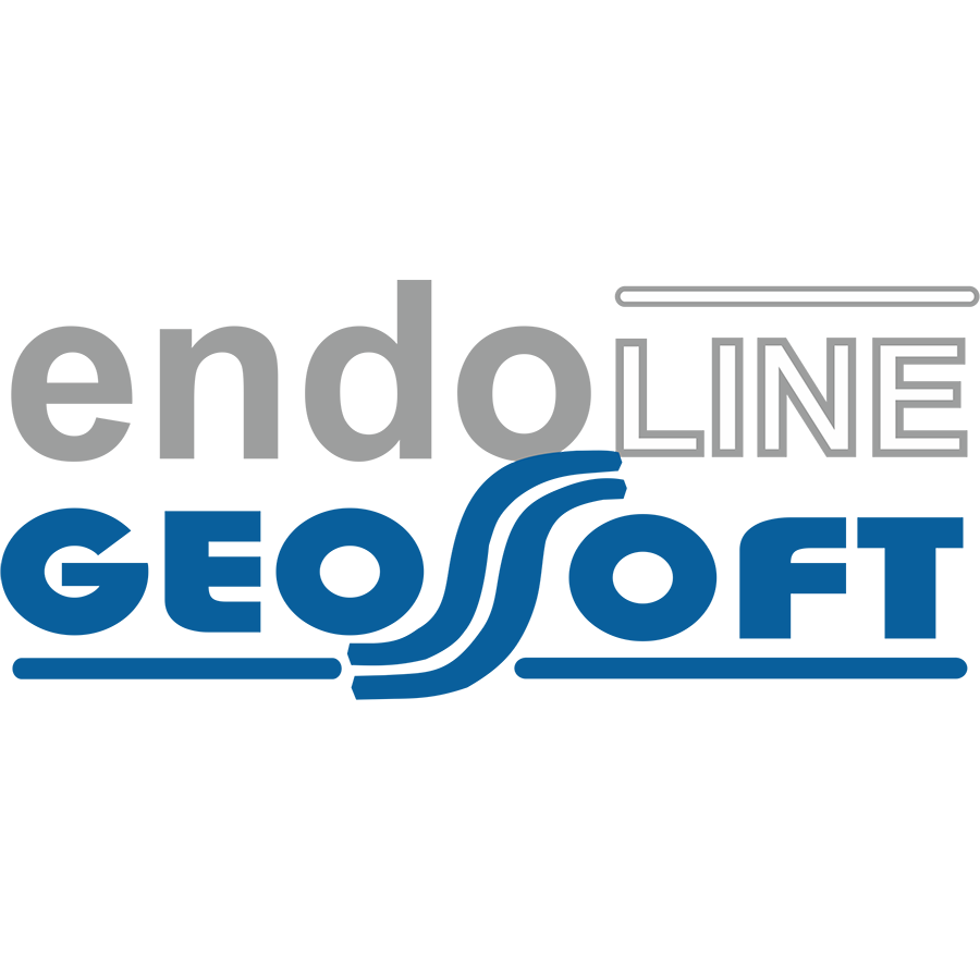 Логотип компании «GEOSOFT»