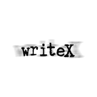 Логотип компании «WriteX»