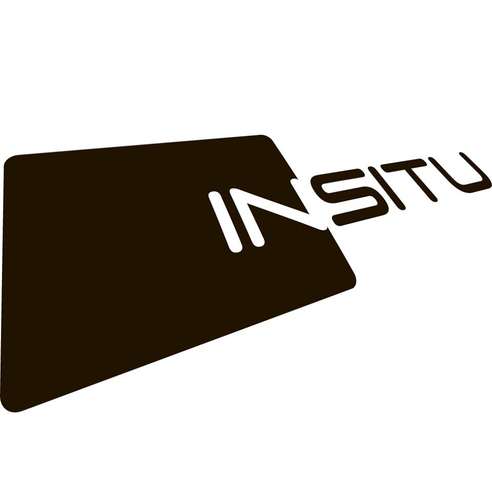 Логотип компании «INSITU»