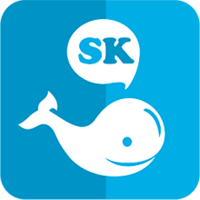 Логотип компании «Socialkit.ru»
