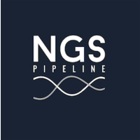 Логотип компании «NGS Pipeline»