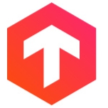 Логотип компании «TopInt Consulting&Developing»
