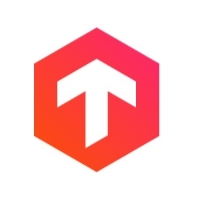 Логотип компании «TopInt Consulting&Developing»