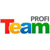 Логотип компании «TeamProfi»