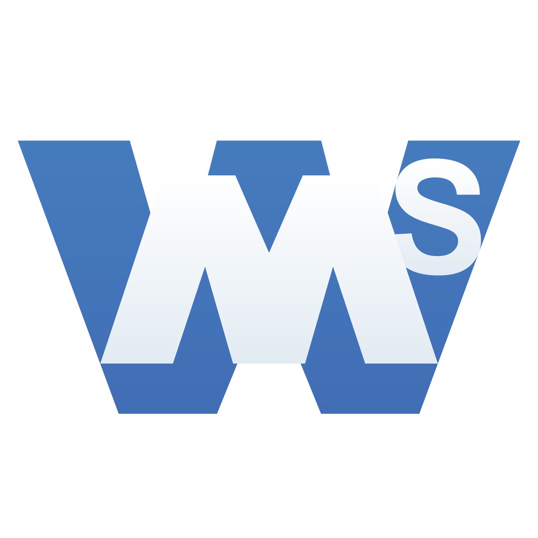 Логотип компании «WMStudio»