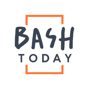 Логотип компании «Bash Today»