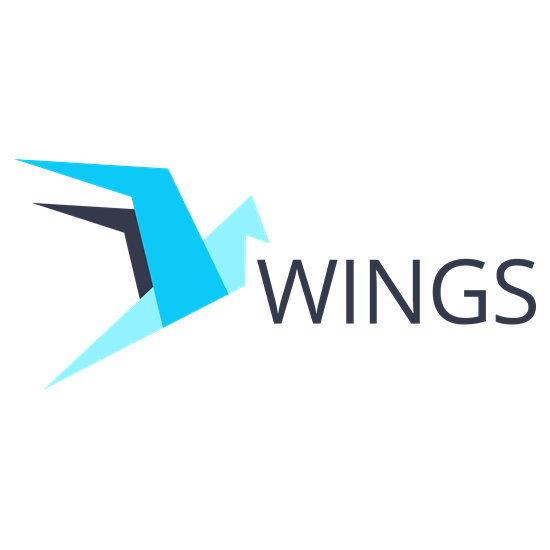 Логотип компании «Wings»