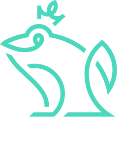 Логотип компании «Frogogo»