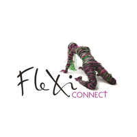 Логотип компании «Maping & Flexi Connect Ltd»