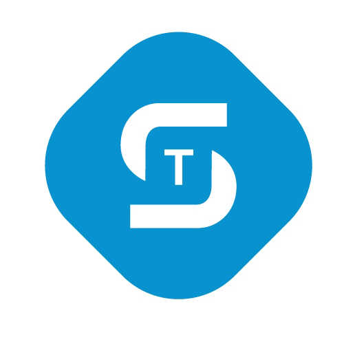 Логотип компании «TS Solution»