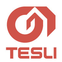 Логотип компании «Tesli»